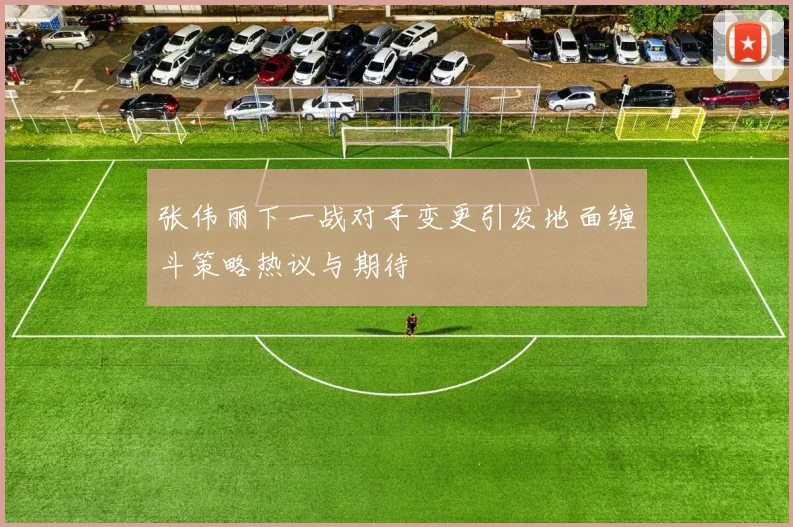张伟丽下一战对手变更引发地面缠斗策略热议与期待